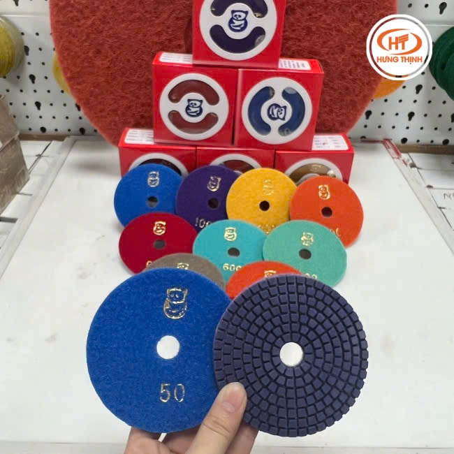 lá số con gấu