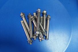 Tắc Kê Nở Inox 201 M12x100