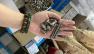 Bulong Inox Bulong Inox