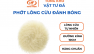 Phớt Lông Cừu Đánh Bóng